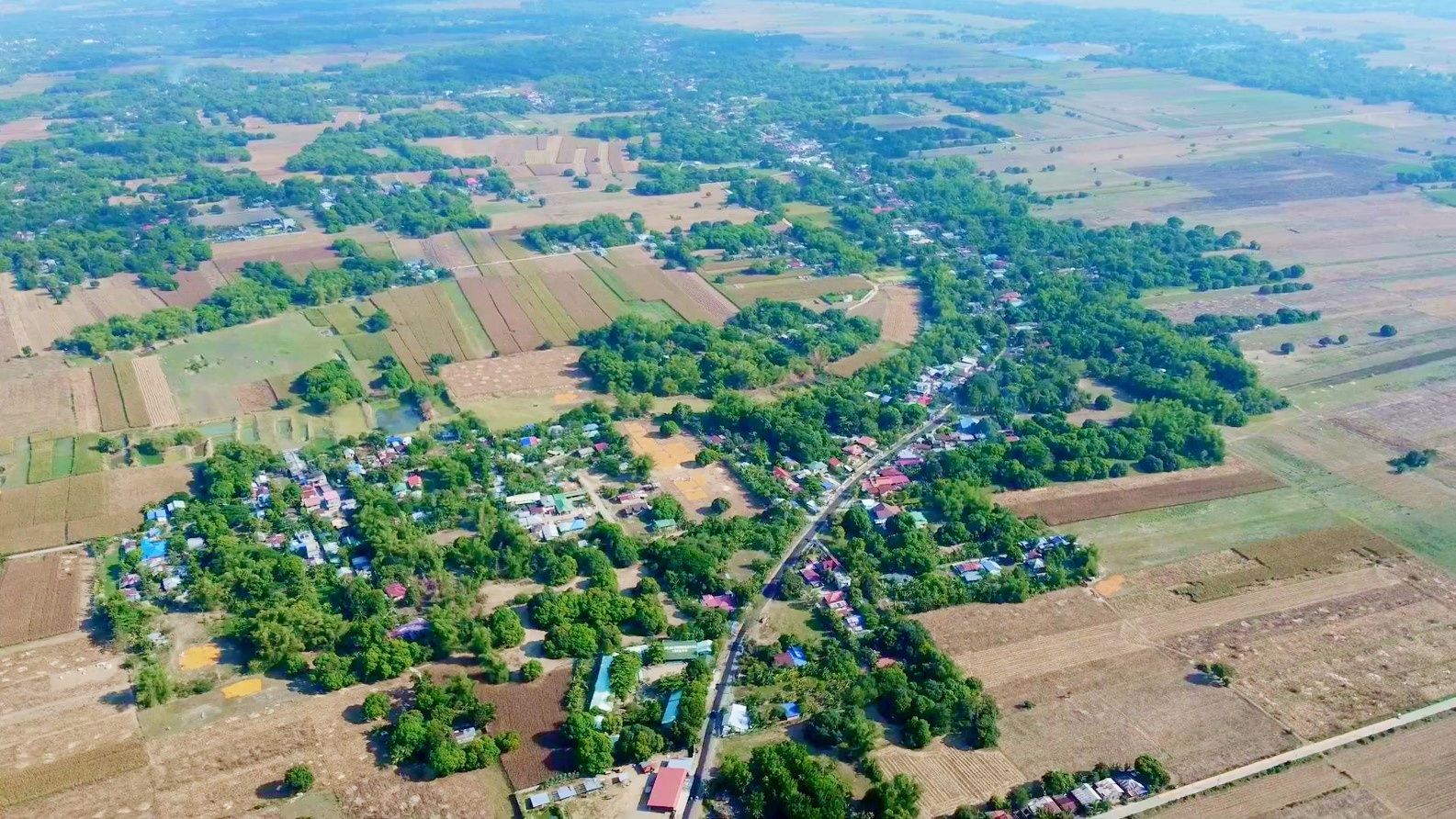Main Photo
