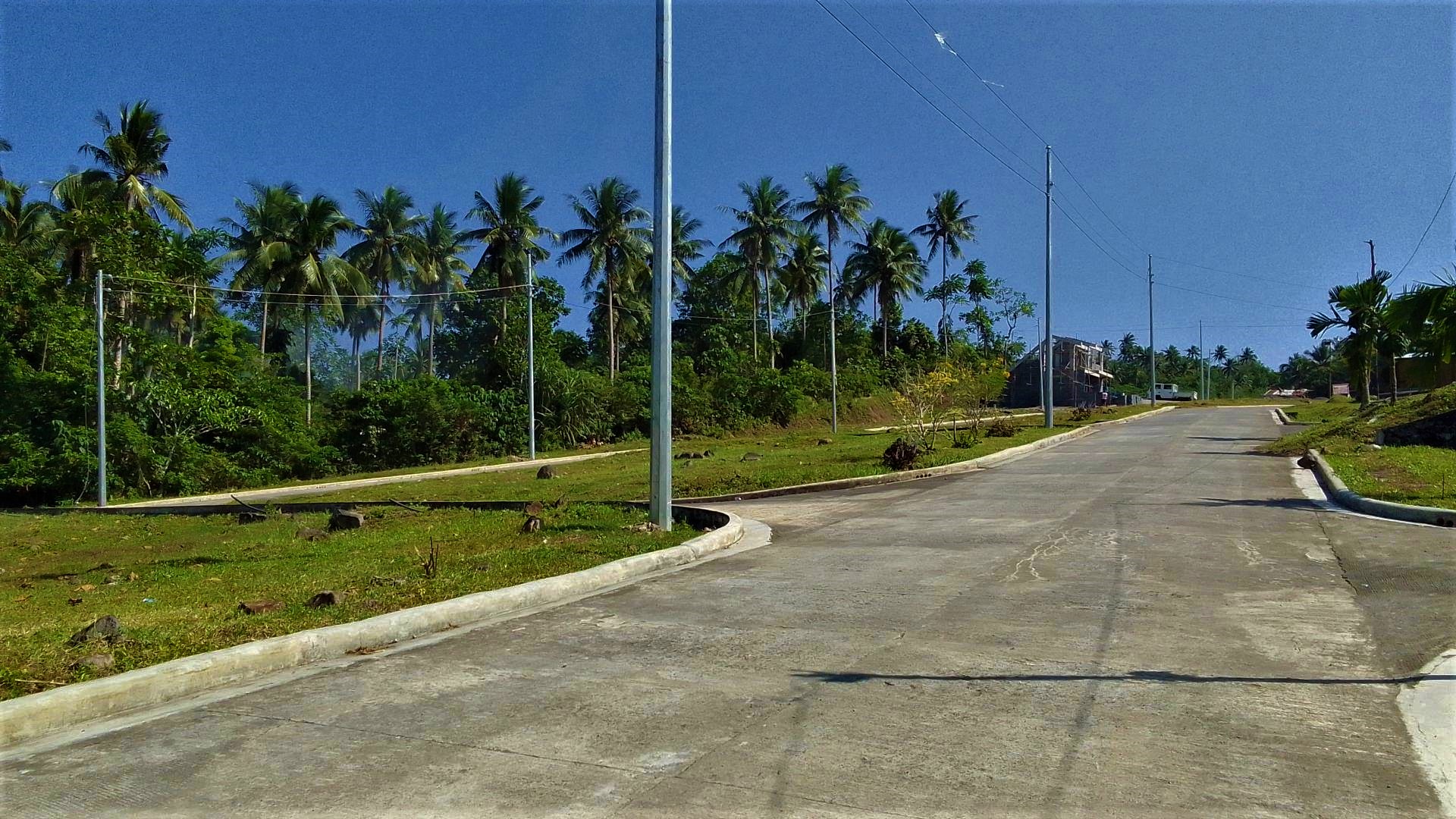 Main Photo