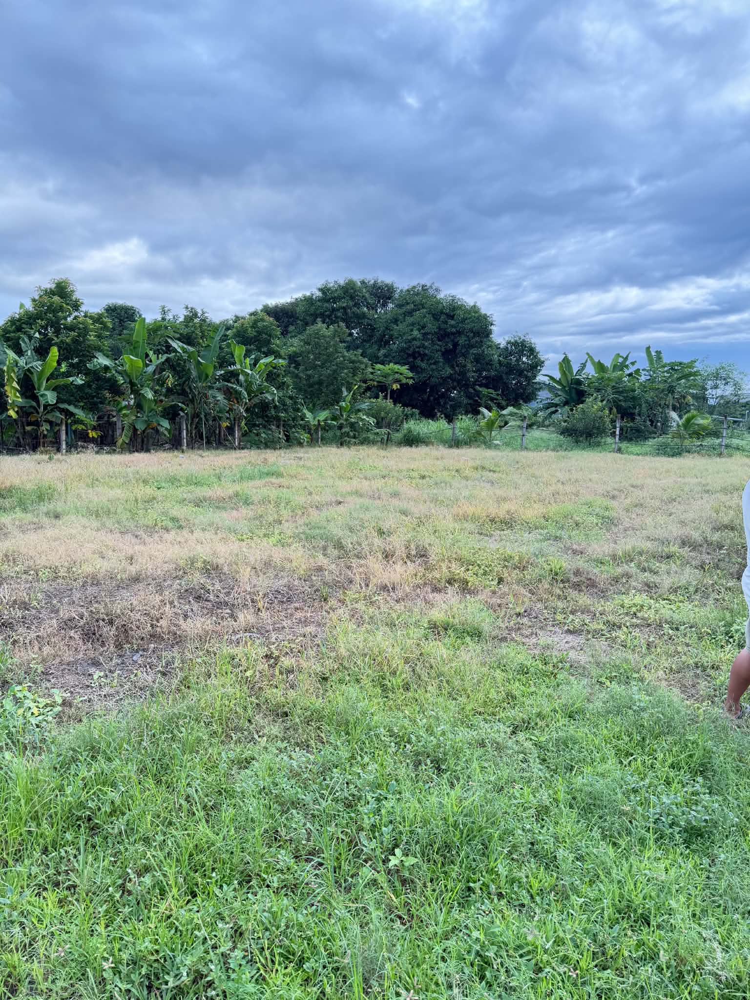 Lot for Sale in Magalang, Pampanga!
