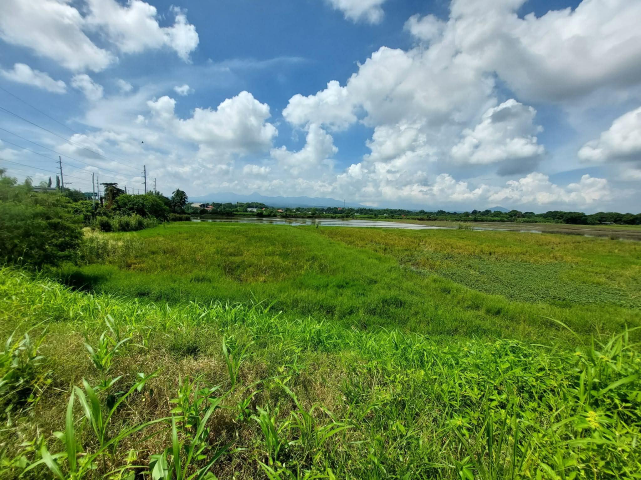 10,409 SQM Along Roman Highway Palihan Hermosa Bataan