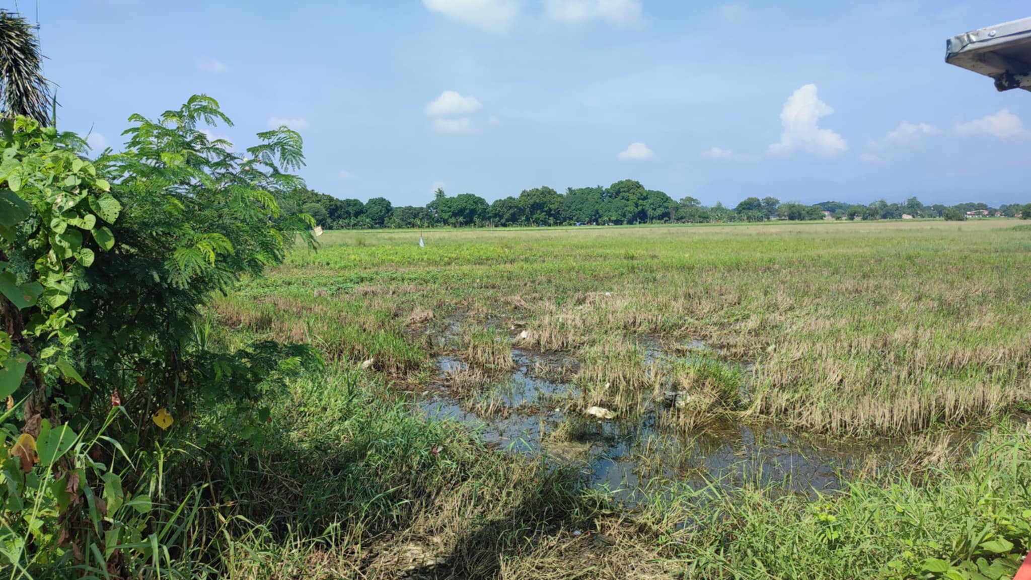 FOR SALE: Raw Land in Gutad, Floridablanca