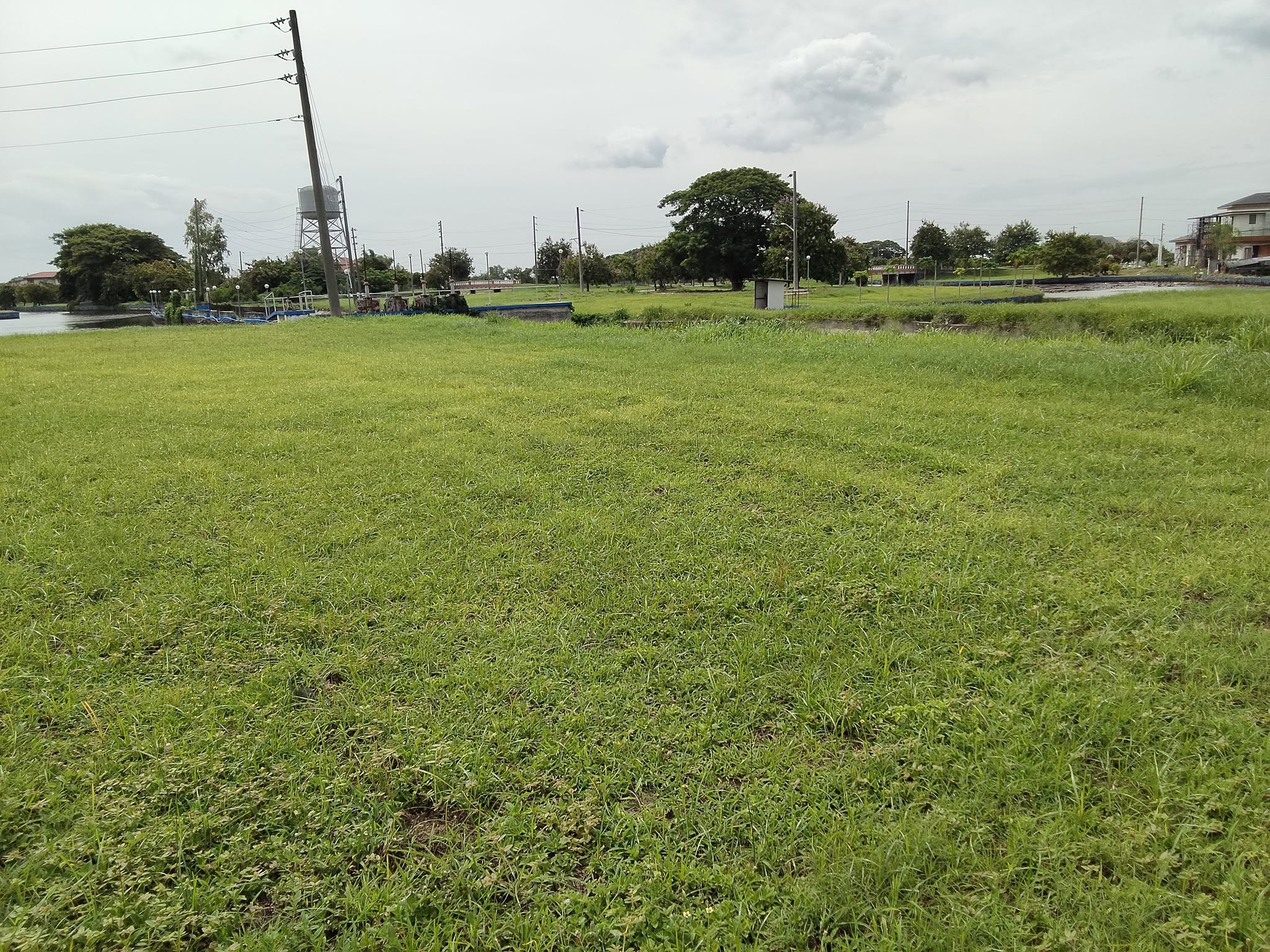 The Lakeshore Lot for Sale photo 2