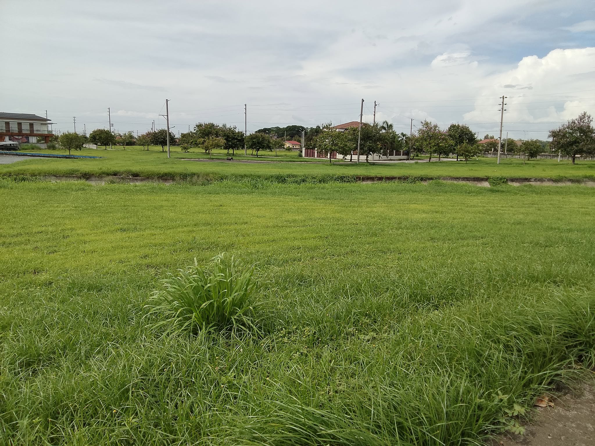 The Lakeshore Lot for Sale photo 3