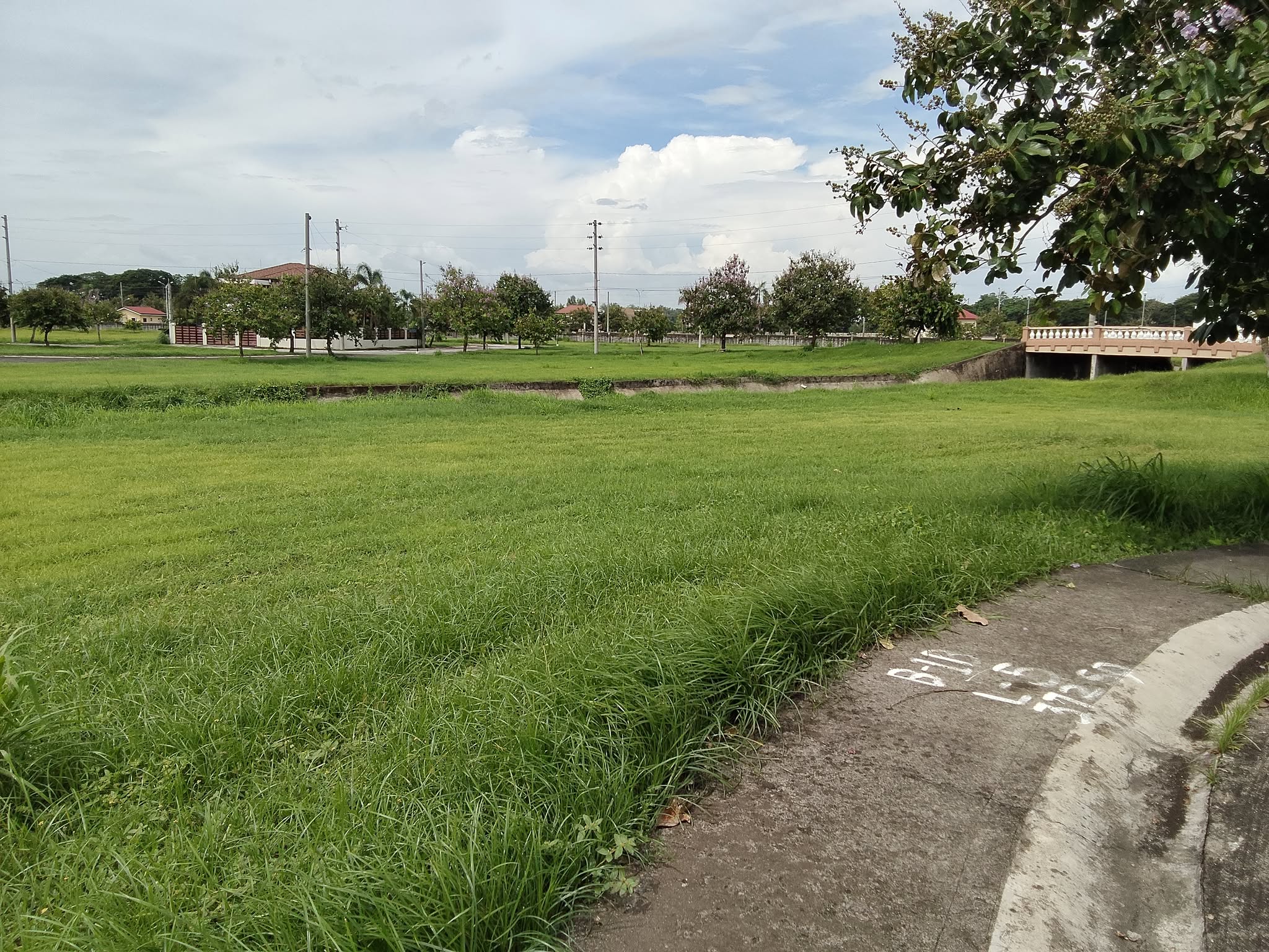 The Lakeshore Lot for Sale photo 4