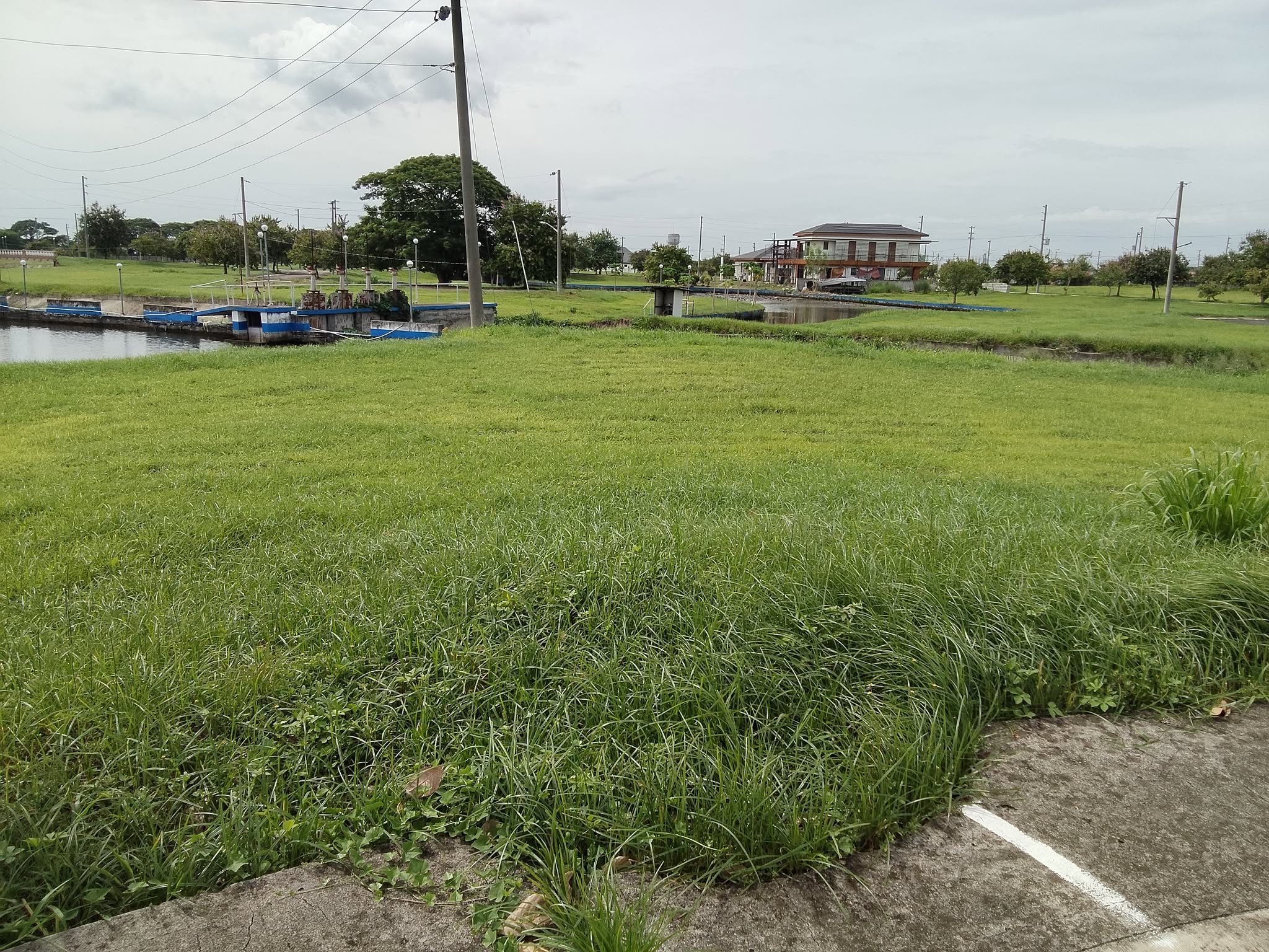 The Lakeshore Lot for Sale photo 7