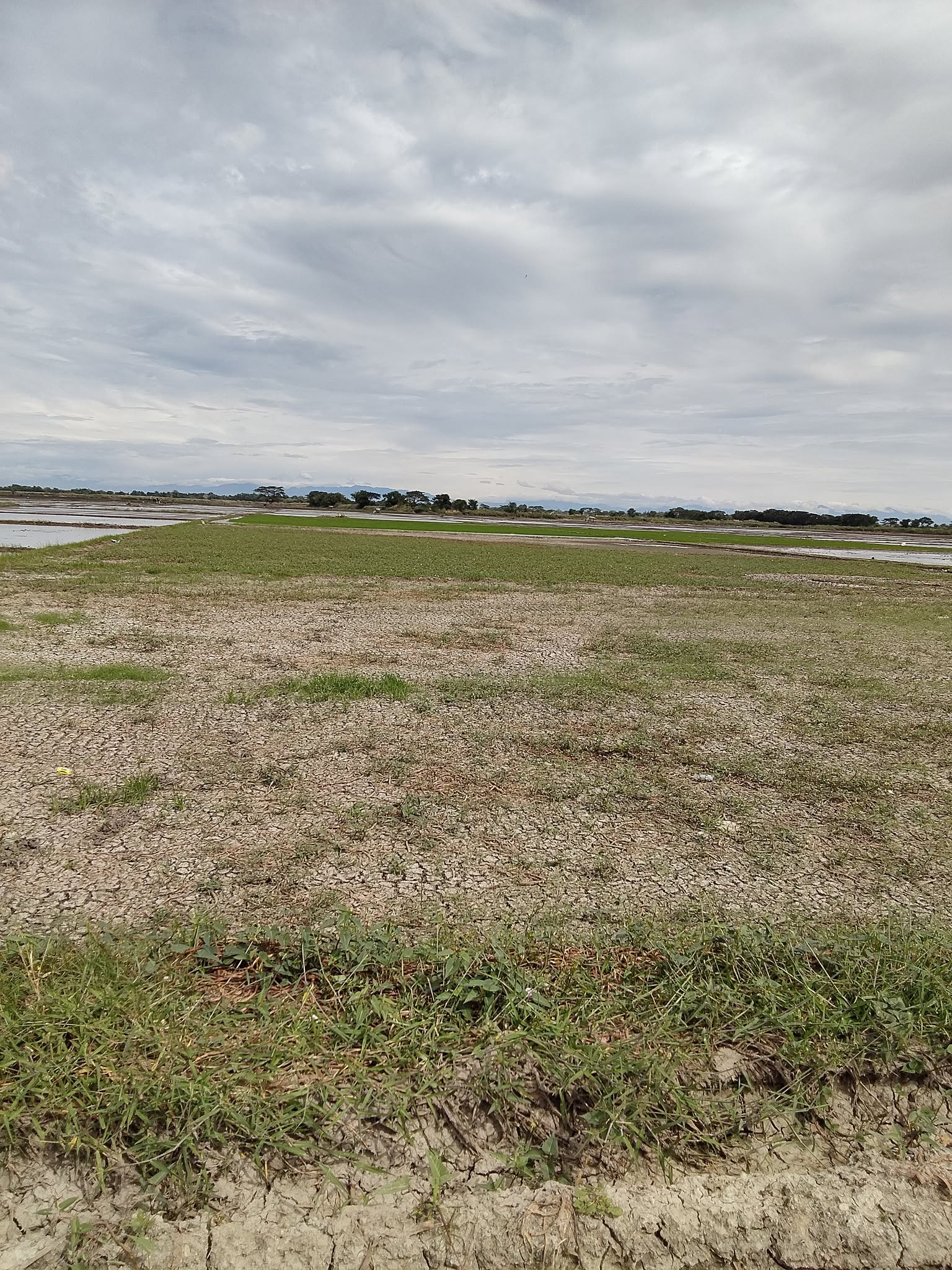 FARM LOT FOR SALE  photo 2