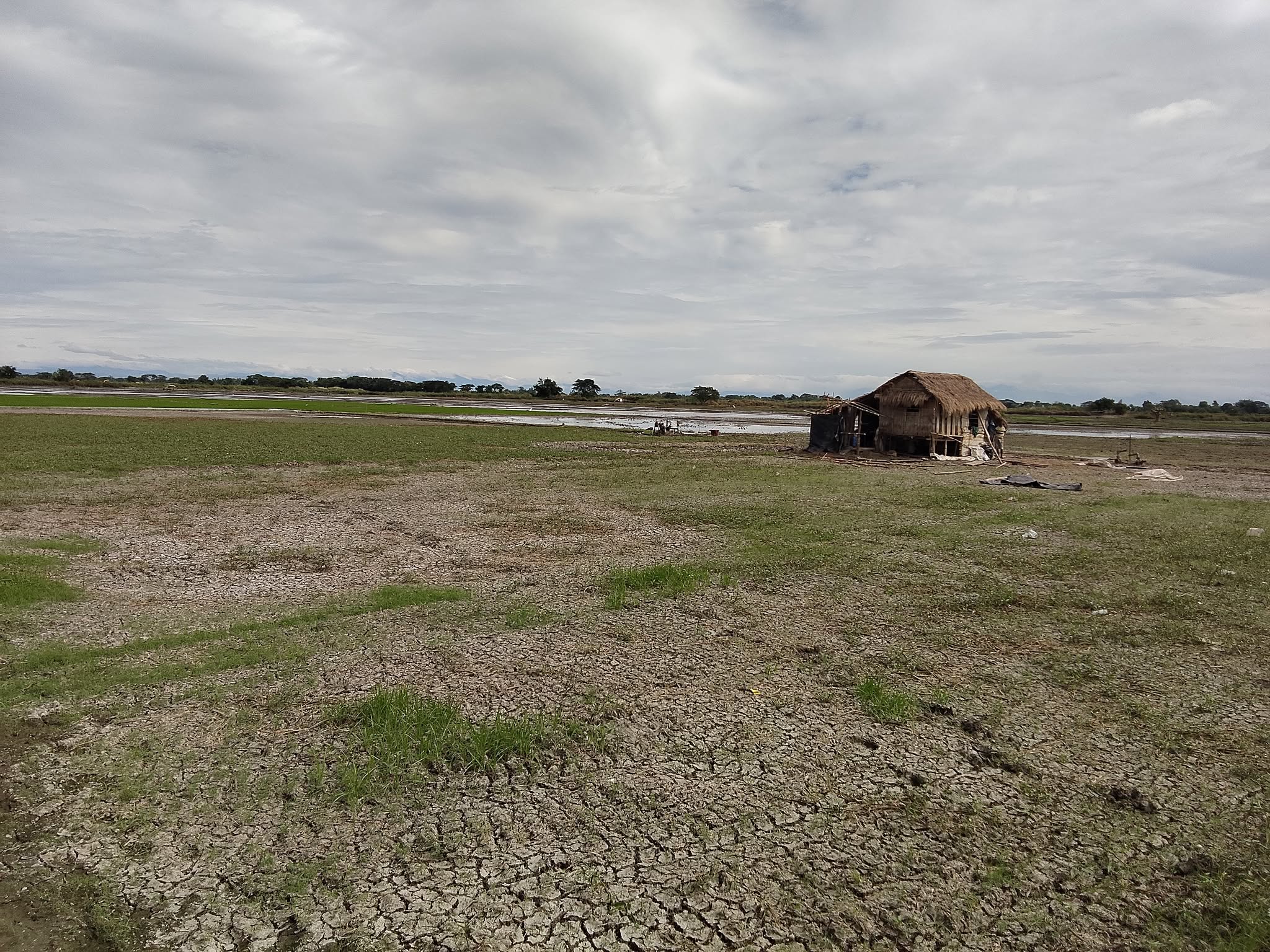 FARM LOT FOR SALE  photo 5