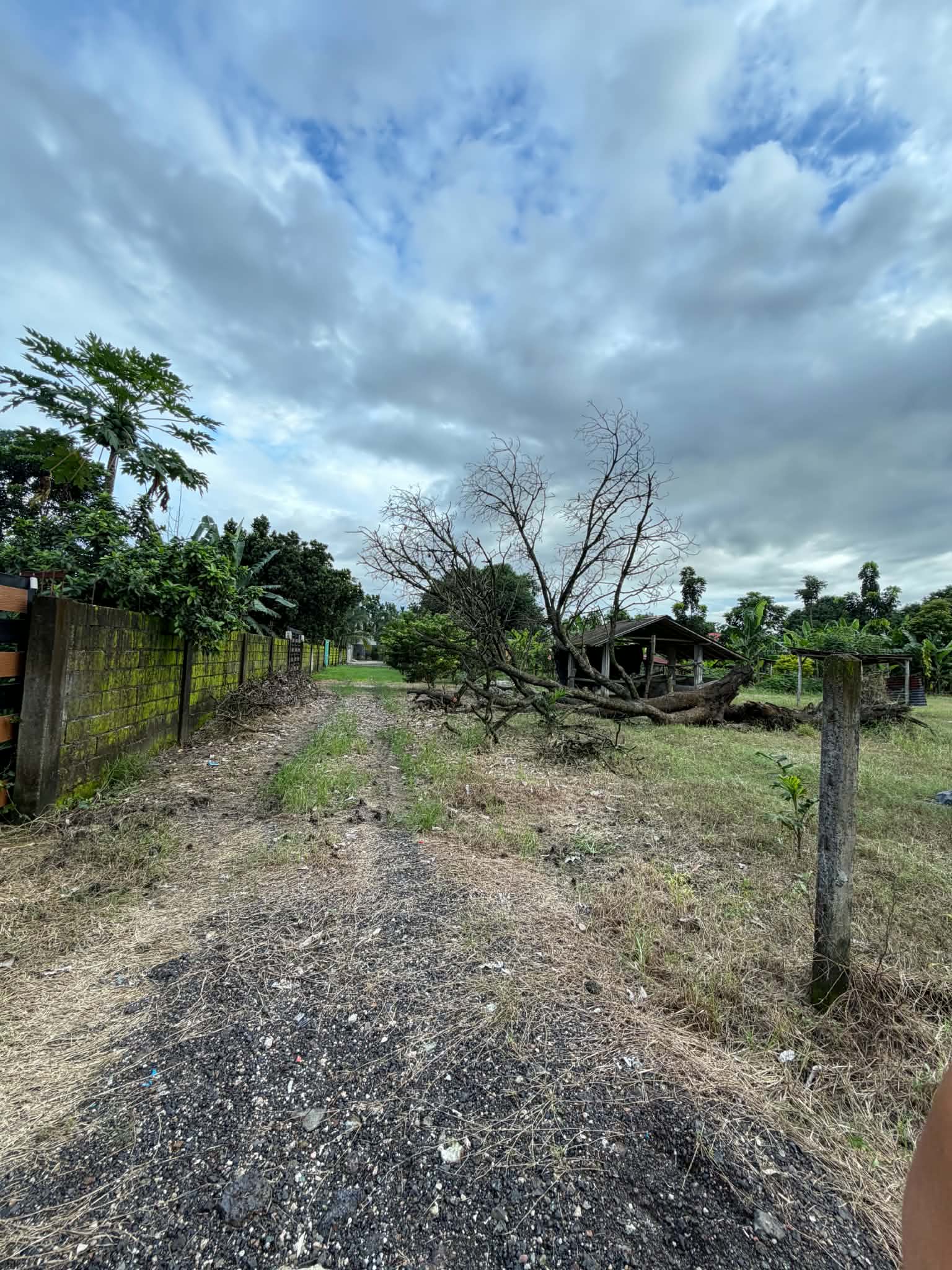 Lot for Sale in Magalang, Pampanga! photo 3