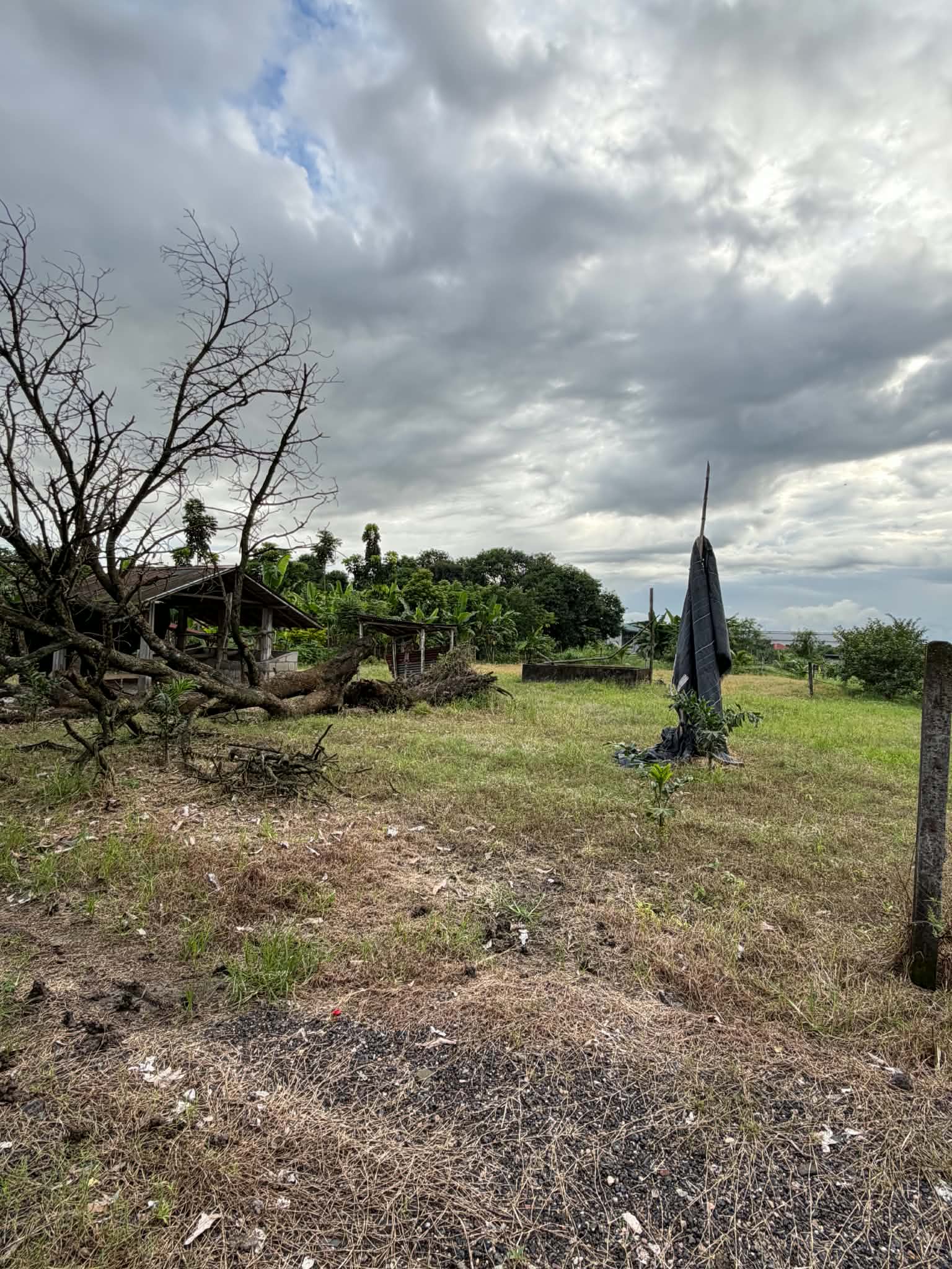 Lot for Sale in Magalang, Pampanga! photo 4