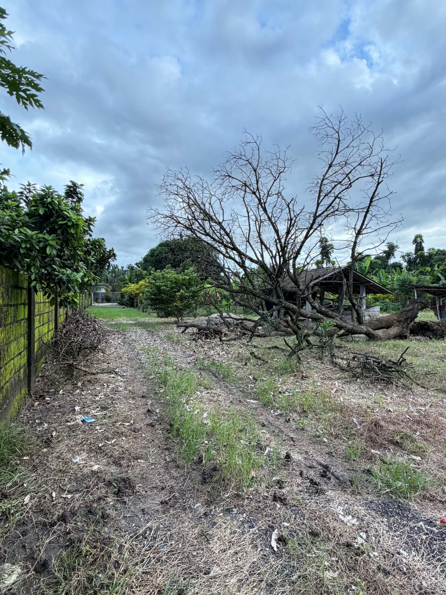 Lot for Sale in Magalang, Pampanga! photo 5
