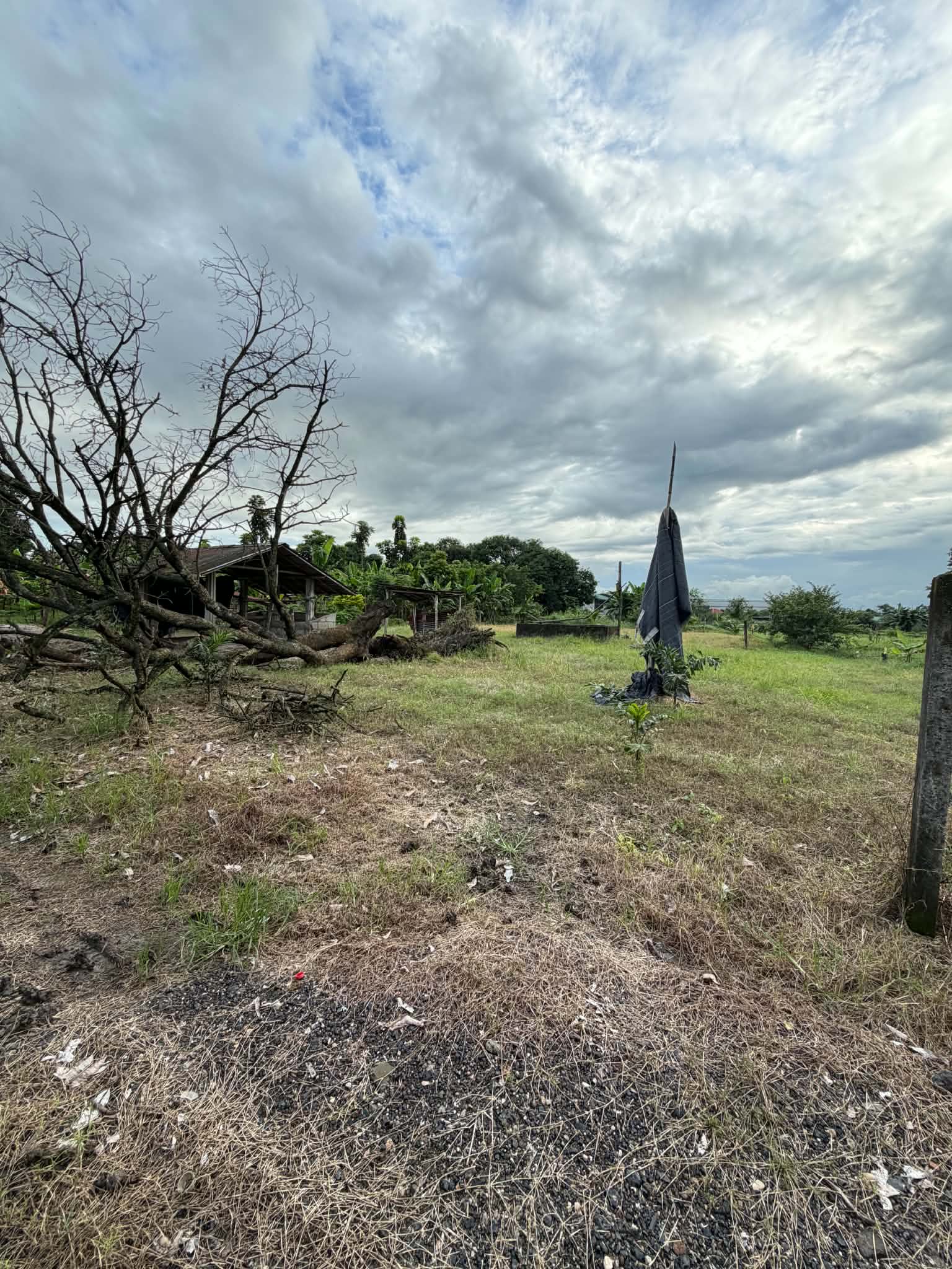 Lot for Sale in Magalang, Pampanga! photo 6